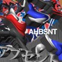 AHBSNT - binding