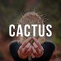 Moldee - Cactus