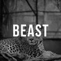 Moldee - Beast