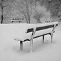 Moldee - Blizzard