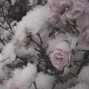 jhai - "yearn."