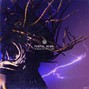 Deadlex - Purple Rain