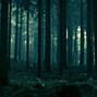 Anticedup - ambient shii