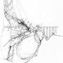 noaxh - 11 18