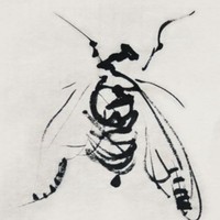 noaxh