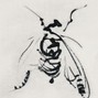 noaxh - 223