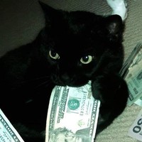 MisterKat