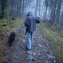 stray air - wonder