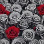 99Lyla - Roses / 170 BPM - D# Minor 