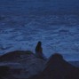 prod.sixz05 - "she won't come back"  soul + r&b (prod. sixz)