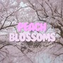 Evangelion Beats - Peach Blossoms - Pluggnb Melody Loop Pack