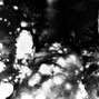 HDMP3 - Funk Face