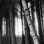 Nick Hudson - somewhere far away