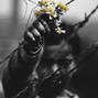 AZHAK - R/Z/W