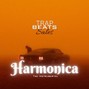 Astral Sounds - Harmonica 