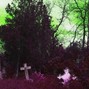 SID WHITE - OVER