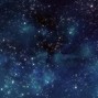 spaceranger.prod - PERILLA 