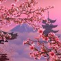 Reece Jowers - Cherry Blossom