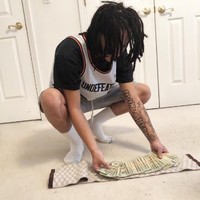ZootedFool