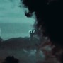 prod.alexmilano - FLY