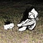 illusory - signs