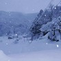 junk - winter w/ mycorpsebride
