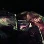 ibrandy - MAGGOTS