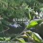 ibrandy - STARDEW