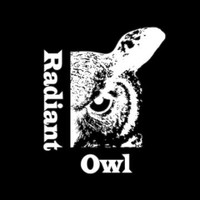 RadiantOwl