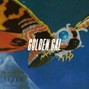 DSMISSING - GOLDEN GAL
