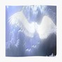 DSMISSING - INTERNET ANGELS ºº 