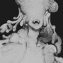 verolseans - destroy lonely type beat