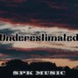 SPK Music - Underestimated | Dr. Dre type beat