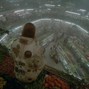 Henrysworldsucks - All in