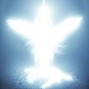 dm - evangelist