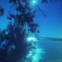 prod.deii - sea sparkle