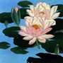user4am - Lotus