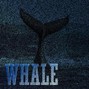 Kasra - Whale