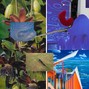 Jared Crowley - summer skinny