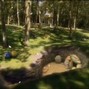 feignsome - IN THE NIGHT GARDEN