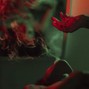 cassiusbeats - [Buy 2 Get 1 Free] Beyond The Stars - SZA x Summer Walker R&B Type Beat