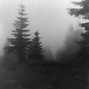 halfasyne - conservation 150bpm Dmajor