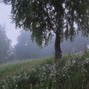 halfasyne - offsetter