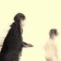 nobodysthereforme - where are you going