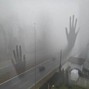nobodysthereforme - veins