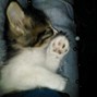 nobodysthereforme - good night