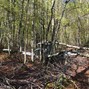 Tony Spark - Woodpack