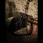 Daniel H. - Searching 