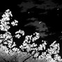 beto - Abyss