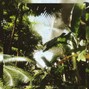 PIO - SUNDROP